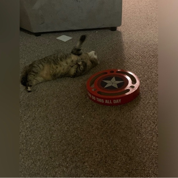 Meet your Posher, Kristen - Picture 3 of 3